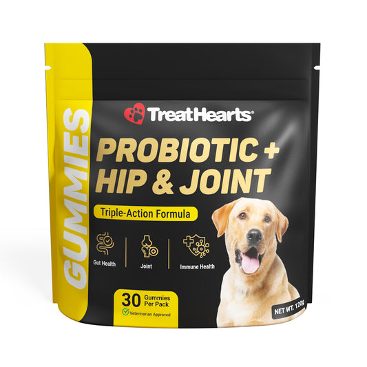 Probiotic + Hip & Joint Gummies