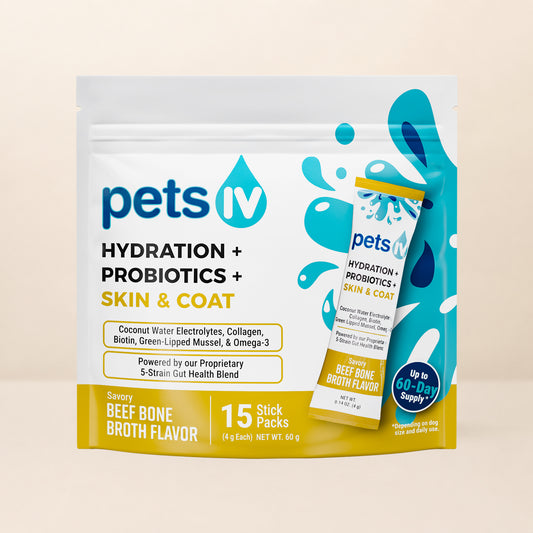 Hydration + Probiotics + Skin & Coat